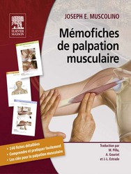 Mémofiches de palpation musculaire
